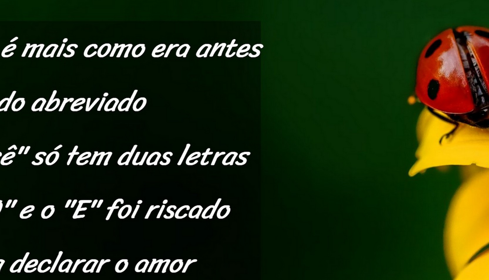 Primeiro projeto com html e css